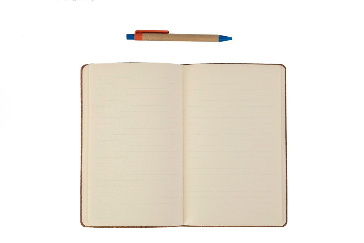 Exploring the World Through My Perspective